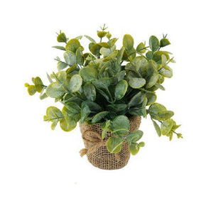 Burlap Planter with Plant