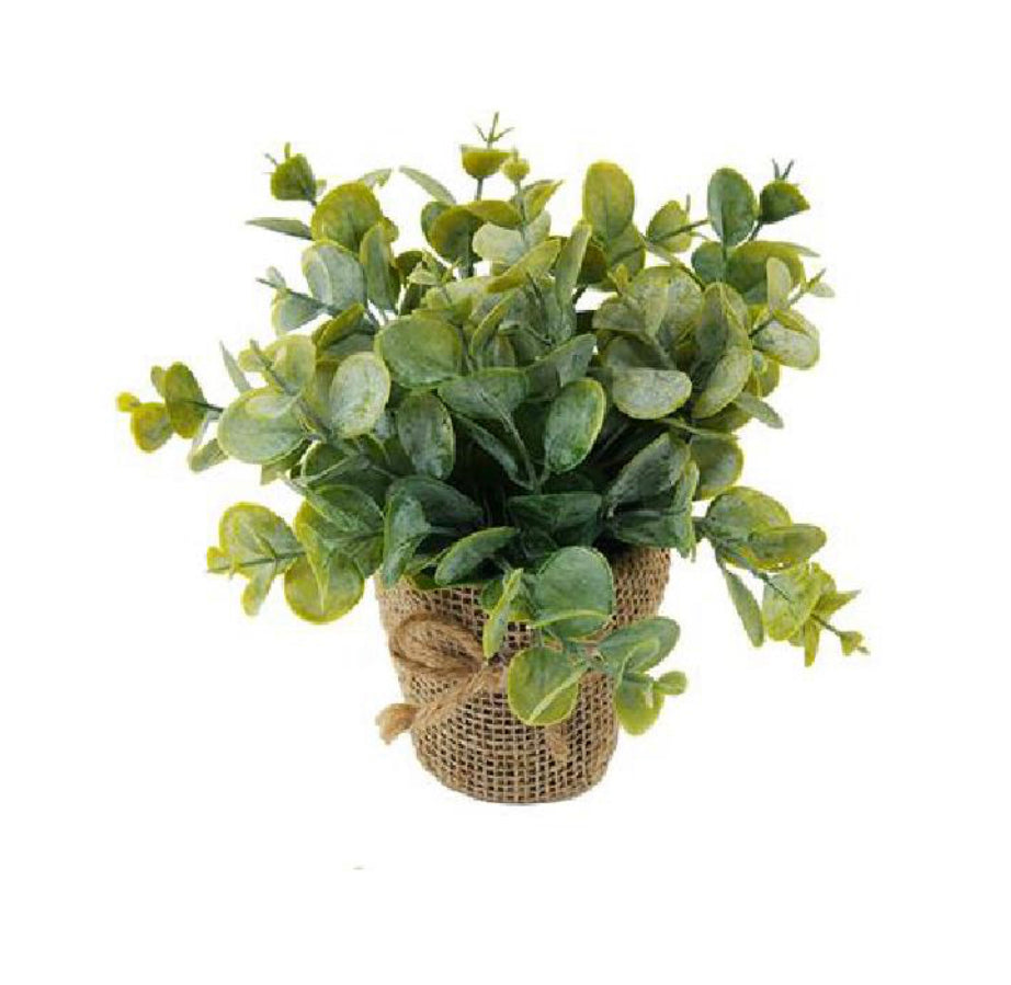 Burlap Planter with Plant
