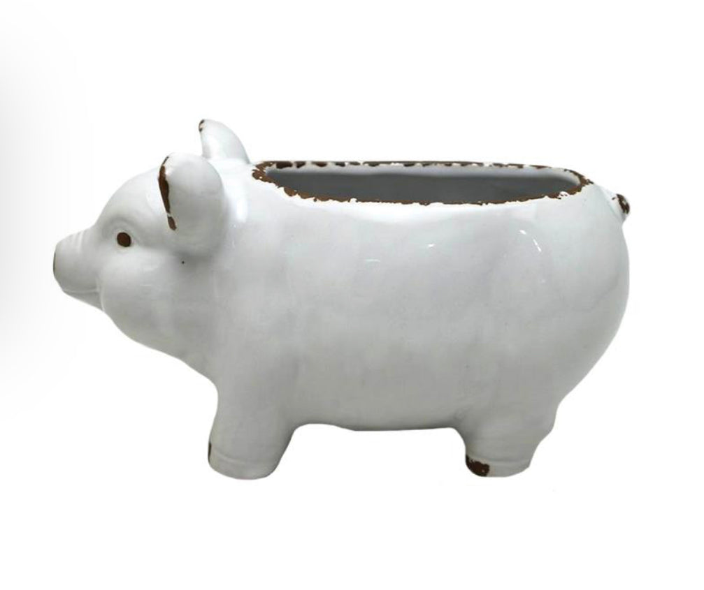 Pig Planter