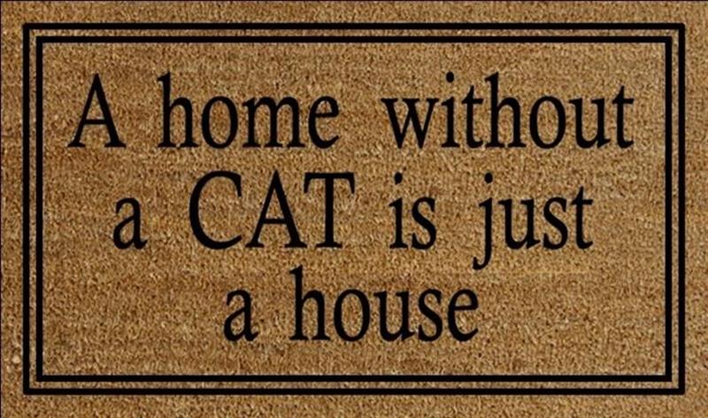 A Home Without A Cat Doormat