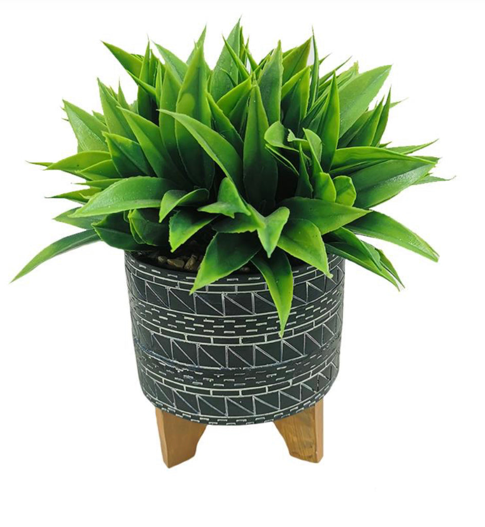 Planter with plant